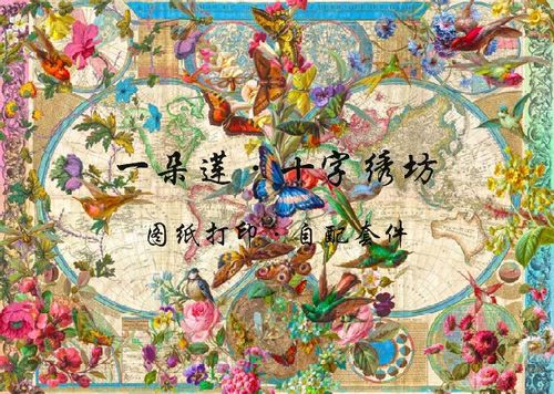 DMC十字绣套件 HAE Birds Butterflies and Blooms World Map蜂鸟