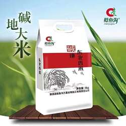 鲶鱼沟大米碱地东北香米10斤真空包装江水灌溉肇源圆粒大米新米