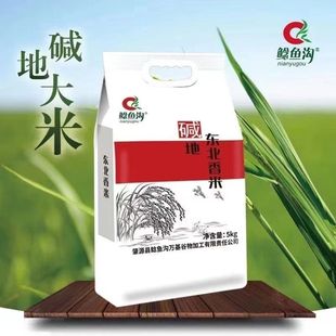 鲶鱼沟大米碱地东北香米10斤真空包装江水灌溉肇源圆粒大米新米