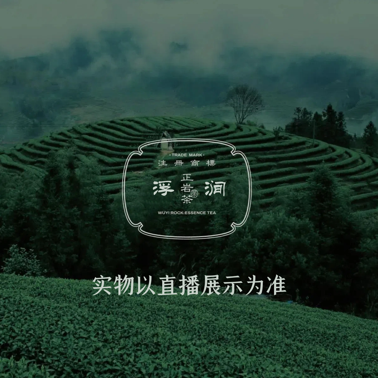 武夷山岩茶大红袍春季乌龙茶茶叶新人品鉴/直播展示为准