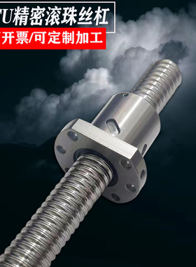 滚珠丝杆丝杠螺母套装轴承SFU 1204 1605 2005 2505 2510升降滑台