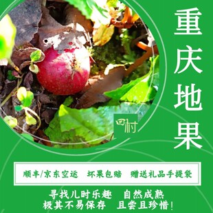 重庆野生地果六月六野地瓜地石榴绿色地瓜儿新鲜野果子地枇杷包邮