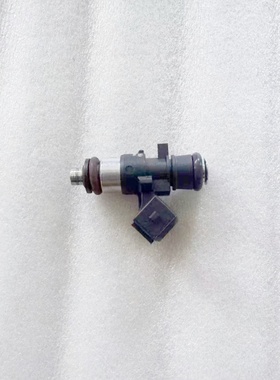 鸿150RS/鸿150都市版/迪诺150原厂QJ150T-6W/23H/7B喷油器喷油嘴