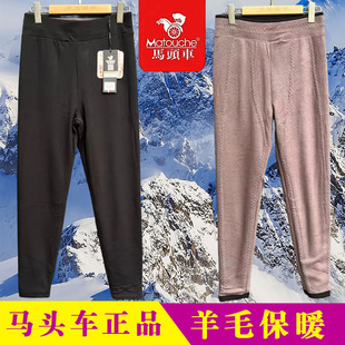 修身 6018加厚打底裤 防寒6029 棉裤 马头车6016羊毛护膝保暖裤