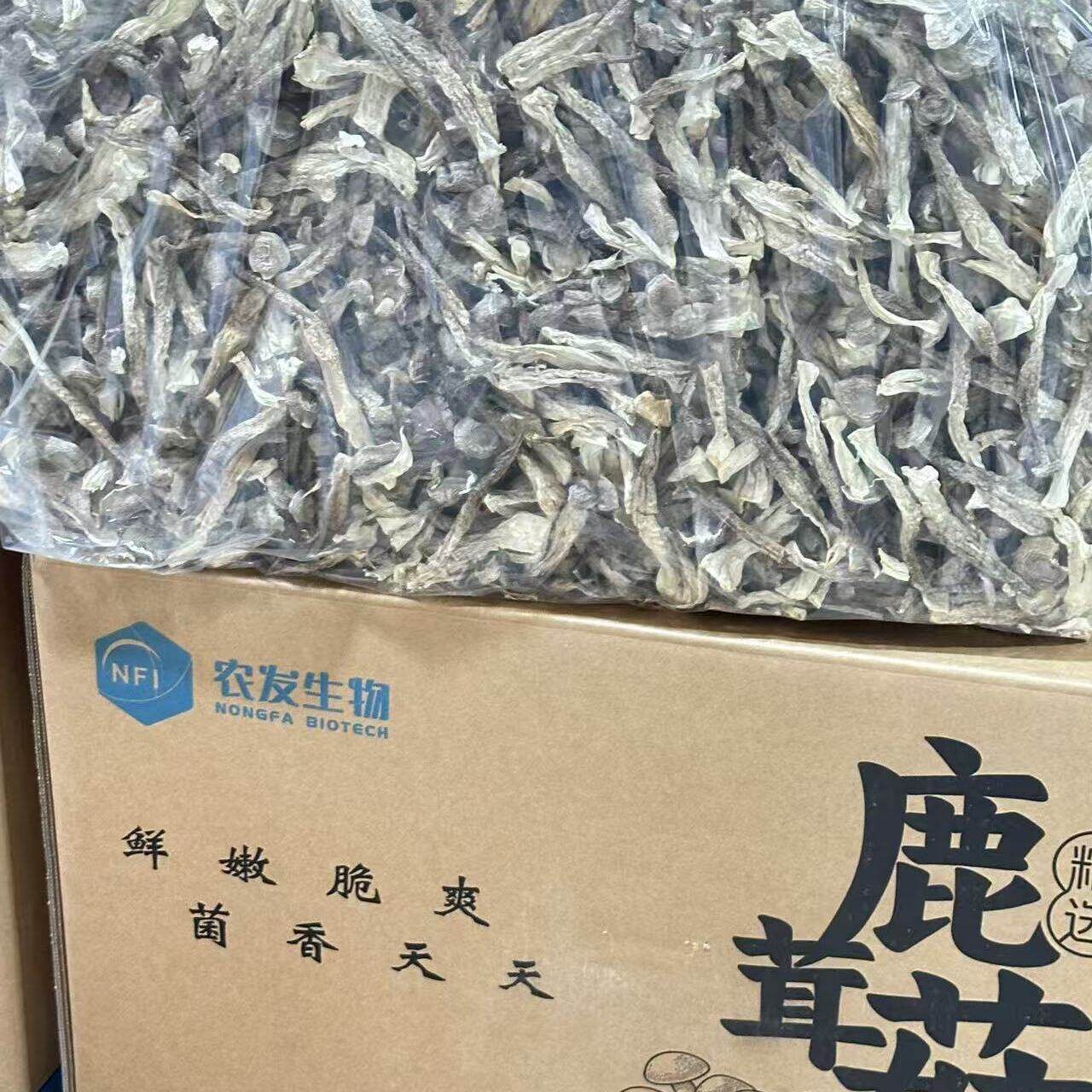 新日期农发生物001鹿茸菇整箱10斤商用火锅食材炒菜炖汤煲汤A级