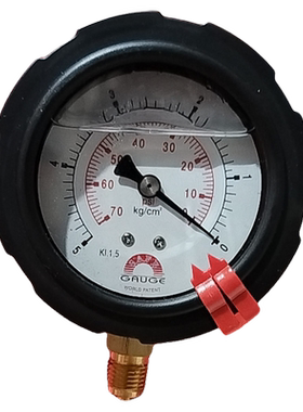 台湾SAFE华记AB-AM11 5kg70psi径向PP隔膜压力表耐震1/4PF牙60MM