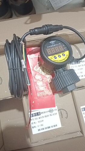 YEATHEI雅德数显压力表YDS1-M19/26-RS485-7kg-D24V