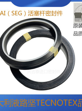 进口意大利TECNOTEX油封TSE255196/374314/326248SEG液路坚密封圈