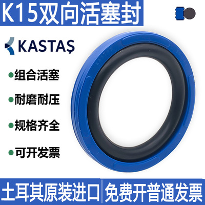 KASTAS进口聚氨酯孔用格莱圈K15