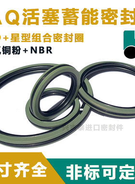 CQ/AQ/JAQ5双向油封双O星型密封圈180/200/210/220/240/250*12.3
