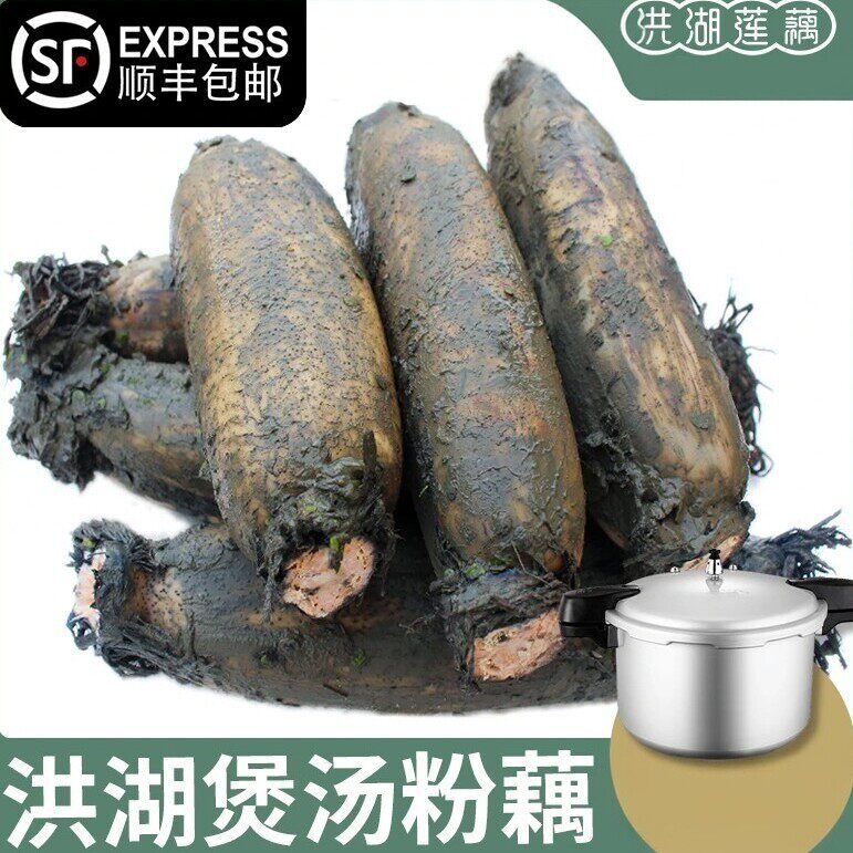 洪湖粉藕洪湖莲藕炖汤