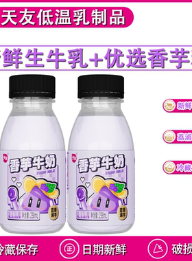 天友香芋牛奶7瓶 新鲜生牛乳调制 低温冷藏保质期21天