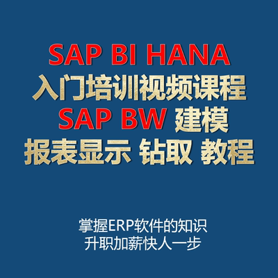 SAP BI HANA入门培训视频课程 SAP BW 建模 报表显示 钻取 教程