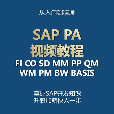 SAP系统PA培训FI CO SD QM WM PM MM PP 视频教程资料