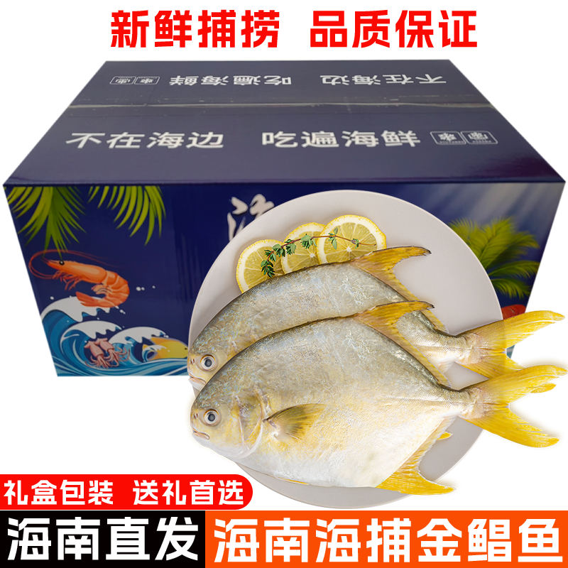 【空运包邮】海南海捕金鲳鱼大鱼深海白鲳深海新鲜海鲜整箱礼盒装