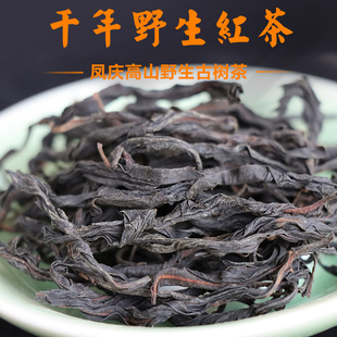 云南凤庆单株古树野生红茶春茶2025茶滇红茶野生茶500g