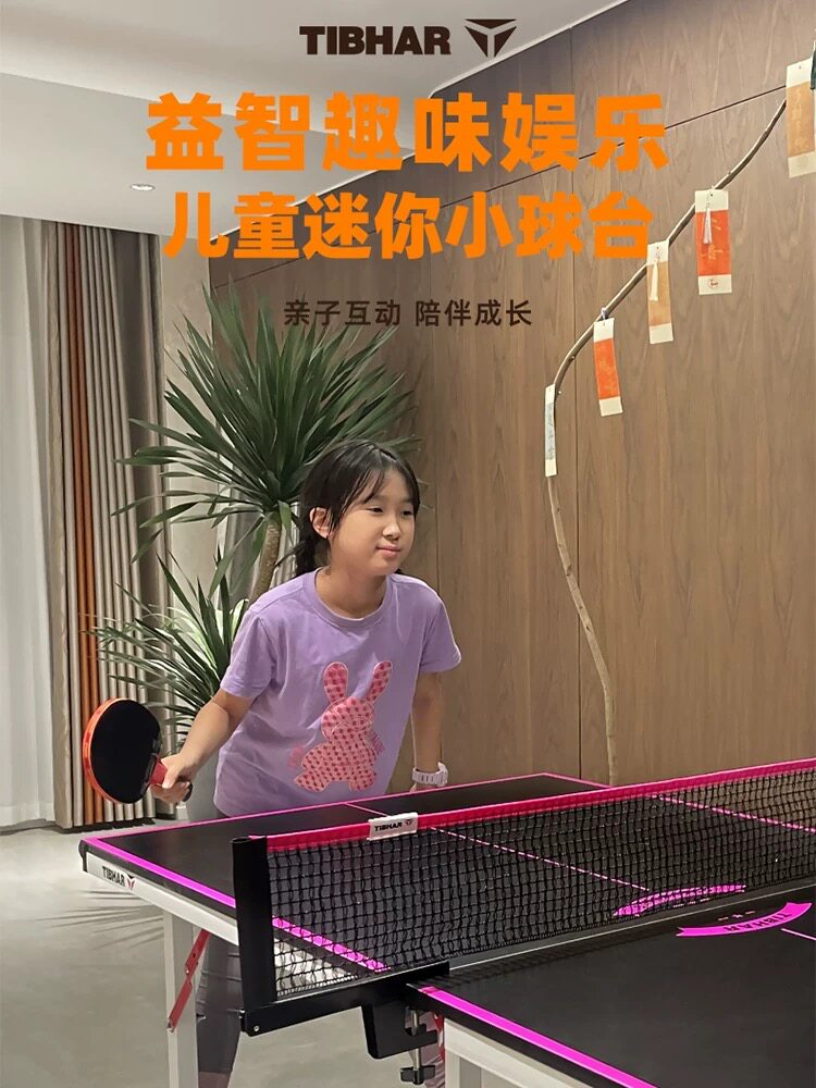 TIBHAR挺拔乒乓球桌家用室内可折叠标准儿童迷你小型乒乓球台案子