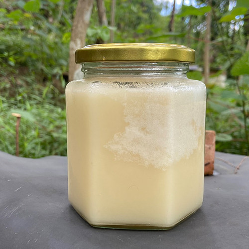 鸭脚木蜂蜜广西梧州蒙山特产中蜂蜜土蜂原蜜正品纯香冬蜜礼盒包邮