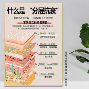 分层抗衰海报皮肤结构图祛皱美业广告骨相美学宣传画微整形墙挂画