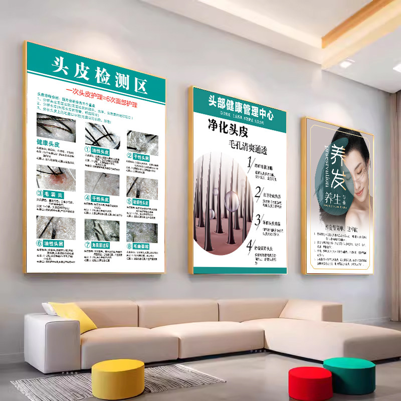头皮检测对比图生发育发海报头皮问题检测图养发馆挂画白转黑广告