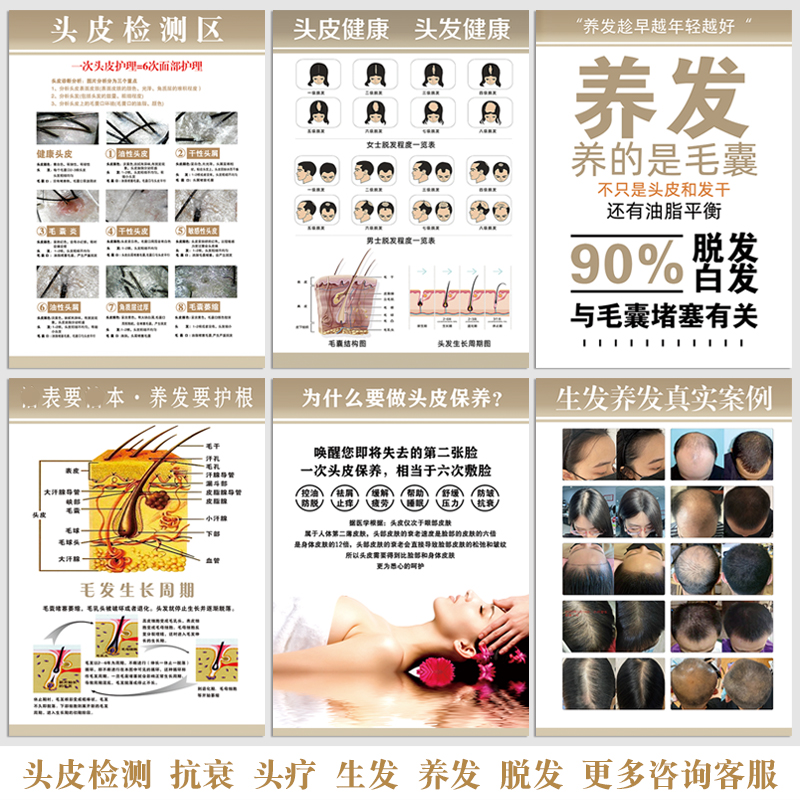 头疗海报头皮检测白发转黑发挂画