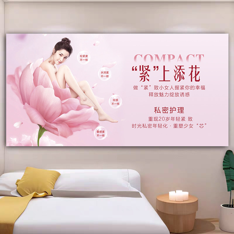 私密保养护理广告产后修复挂画