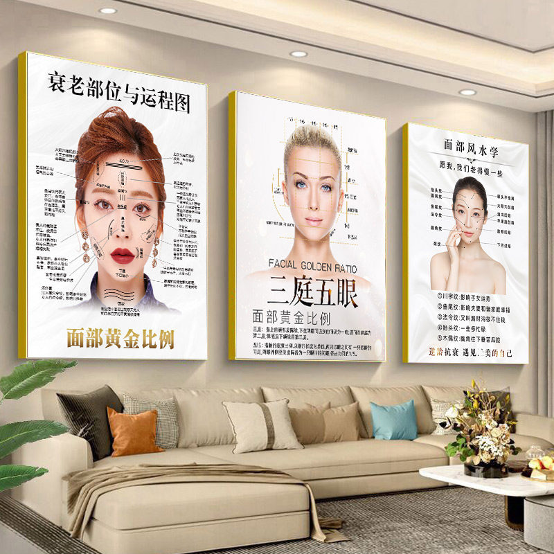 三庭五眼海报微整挂画面部衰老部位运程图面部抗衰祛皱广告宣传画