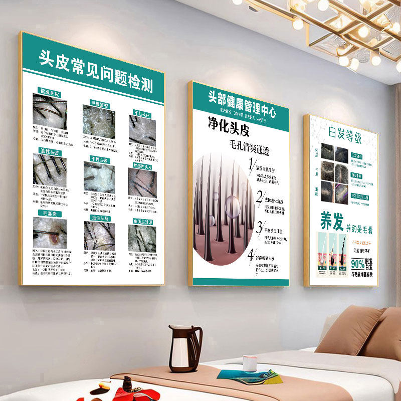 头皮检测对比图生发育发宣传画生姜广告脱发养发馆挂画白转黑海报