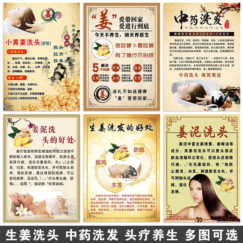 姜疗海报中药养发宣传画生姜洗头好处装饰画头疗画茶麸洗头广告图