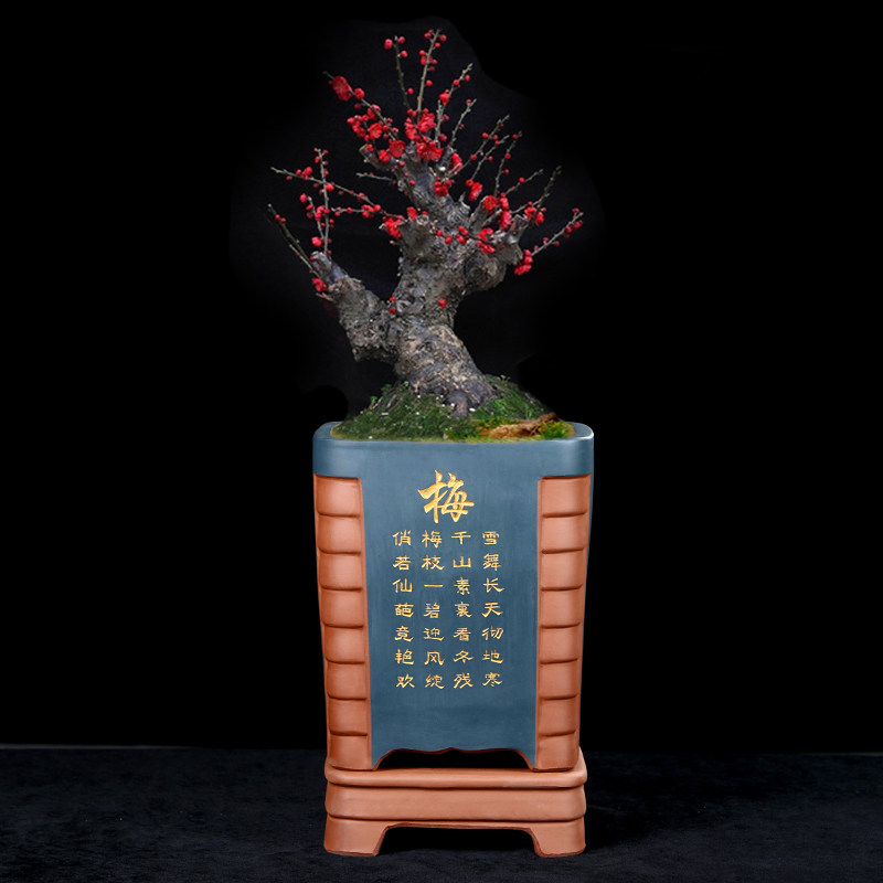 高四方兰花盆紫砂花盆梅兰竹菊透气室内高档带托盘古典竹节盆栽盆