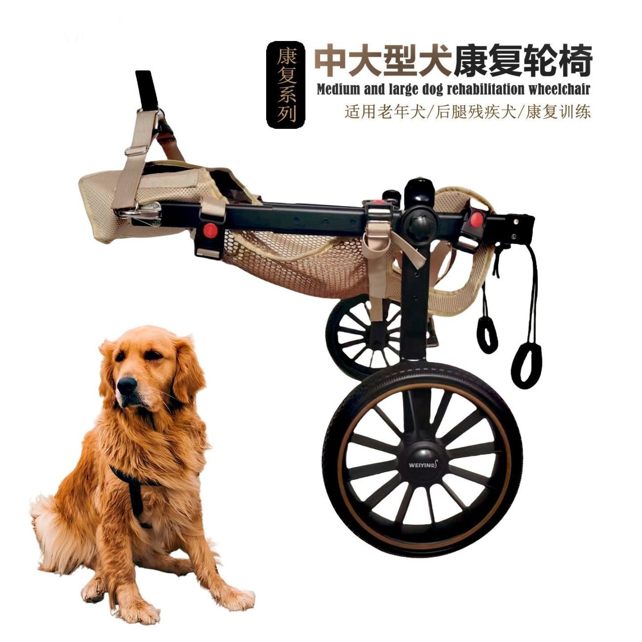 狗狗大型犬轮椅车后肢康复训练脊椎炎瘫痪残疾辅助后腿支架车