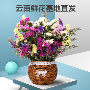 云南基地直发勿忘我鲜花风干真花花束混搭情人草风干天然鲜花Y2