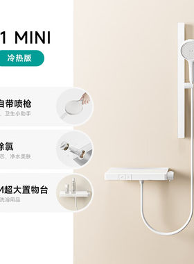 WATERMAX全铜恒温花洒无顶喷