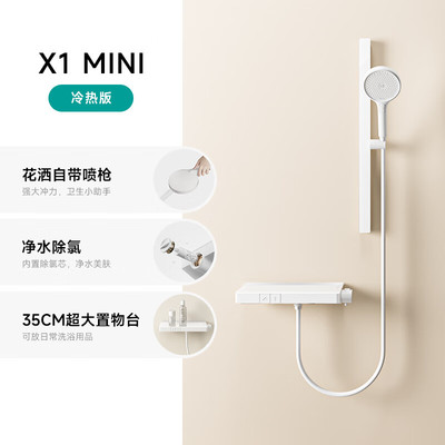 WATERMAX全铜恒温花洒无顶喷