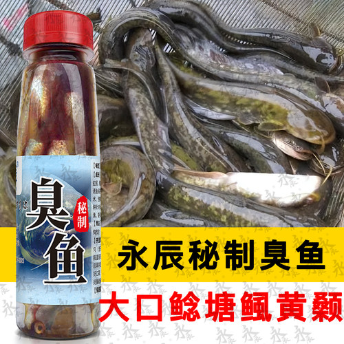 永辰秘制臭鱼钓鲶鱼饵