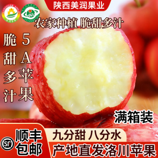 陕西红富士整箱装 整箱条纹红脆甜多汁 陕北特产脆甜洛川苹果当季