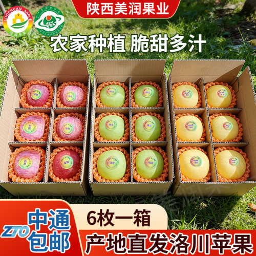 多彩苹果顺丰包邮秦脆瑞雪维纳斯