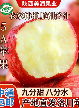 陕西洛川苹果水晶红富士富士水果脆甜冰糖心新鲜水果5斤中通包邮