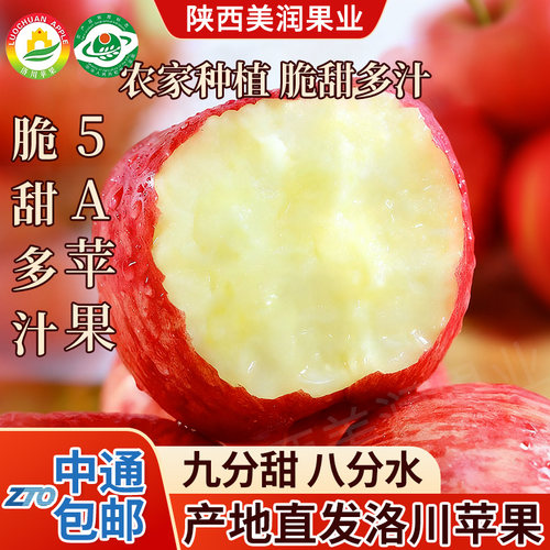 5A洛川苹果产地直发中通包邮