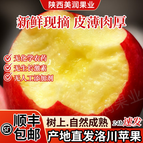 5A洛川苹果产地直发顺丰包邮