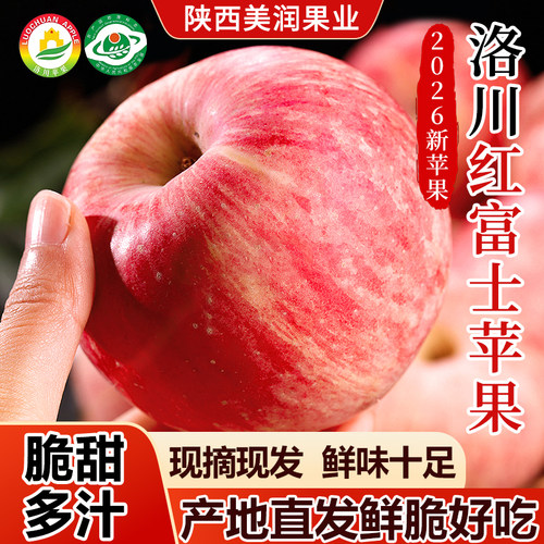 新苹果红苹果陕西水晶富士
