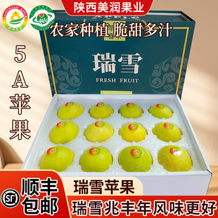 顺丰包邮洛瑞雪苹果瑞雪兆丰年川苹果新鲜水果陕西高端礼盒精品