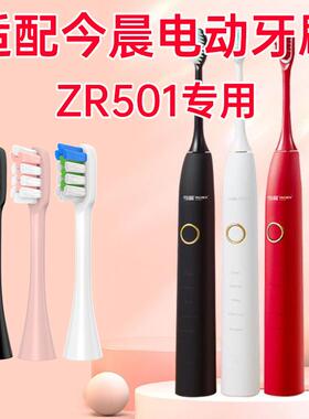 适配JINCHEN今晨电动牙刷ZR501牙刷刷头成人替换牙刷头