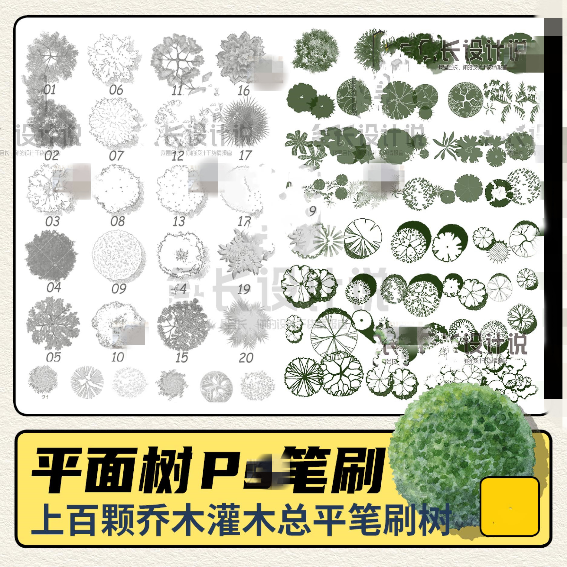 平面树植物ps笔刷 水彩树乔木灌木总平彩平植物笔刷