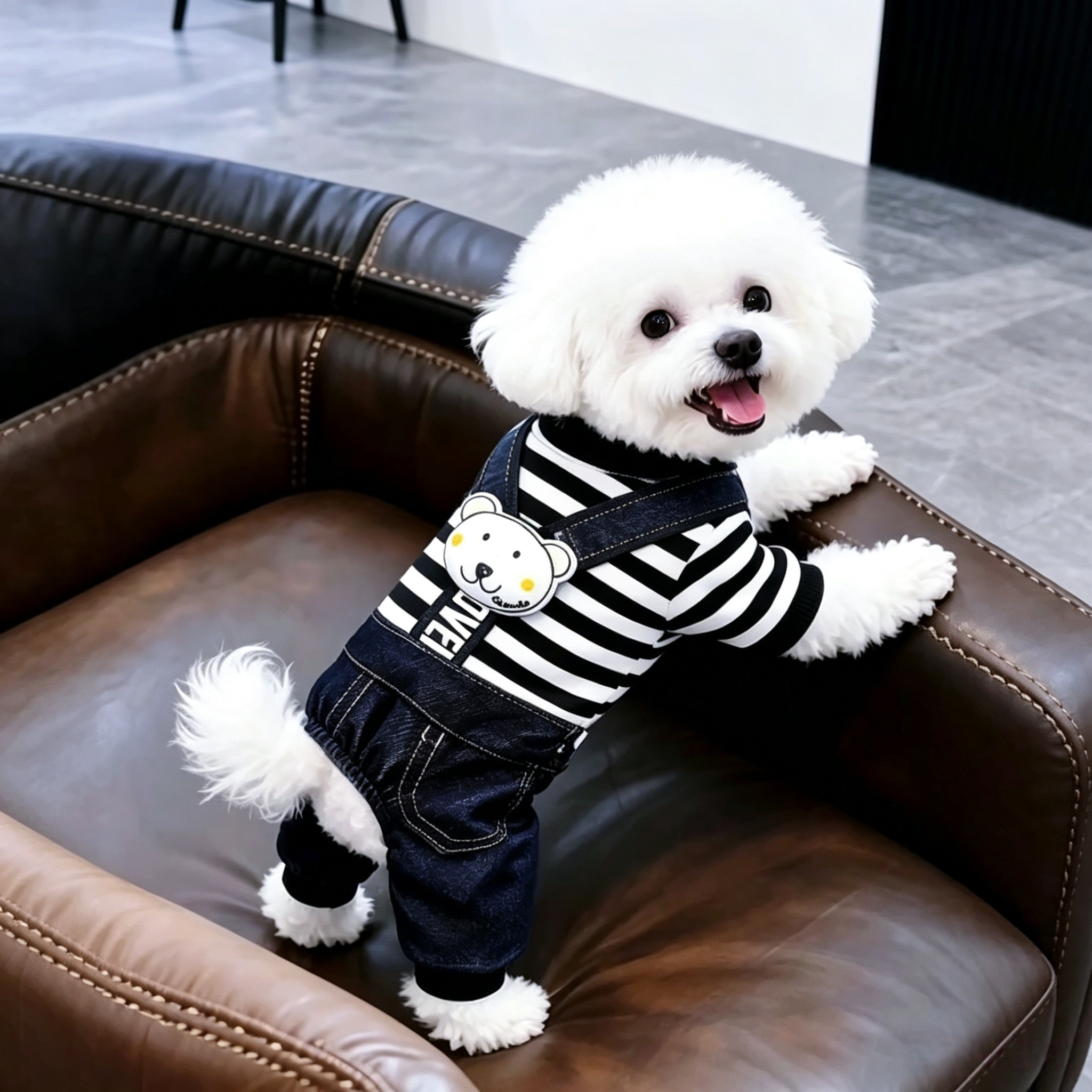 春秋狗狗四脚背带裤洋气