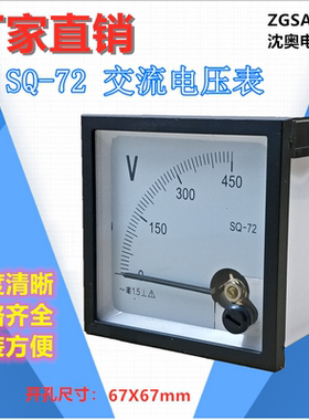 ZGSAYB  沈奥 ( 89T2 / 72L1 )  SQ-72  电压表 450V 10KV/100V