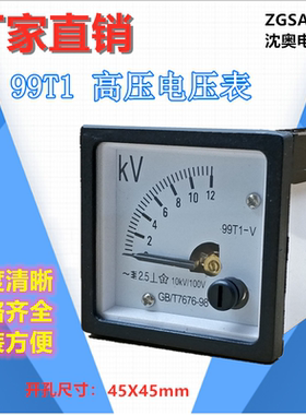 ZGSAYB 沈奥 ( SQ48 / 48T1 ) 99T1 10KV/100V 交流 电压表 高压