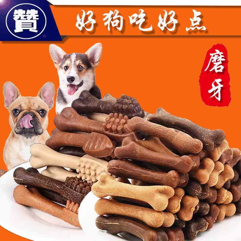 巴哥柯基耐咬洁齿斗牛犬恶霸
