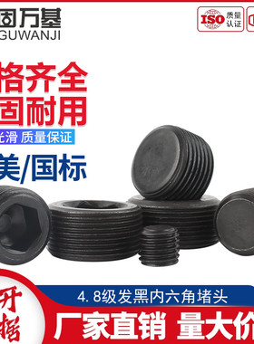 内六角堵头螺塞油塞丝堵外螺丝英制美制止付螺丝NPT1/2M6M8-M30