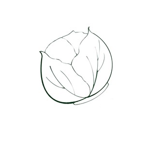 蔡籽手作補(bǔ)郵費(fèi)專拍